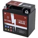 Battanux 12V Sealed Maintenance-Free ATV Battery