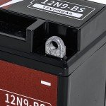 Battanux 12V Sealed Maintenance-Free ATV Battery