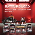 Battanux 12V Sealed Maintenance-Free ATV Battery