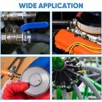 TICONN 40PCS Stainless Steel Hose Clamp Set