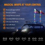 RGB LED Whip Lights with Remote Control - 3FT