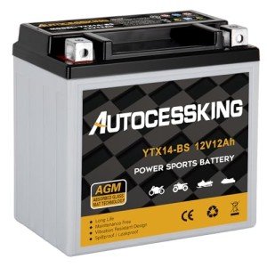 Autocessking YTX14-BS 12V 12Ah Motorcycle Battery, Rechargeable Sealed AGM Battery Maintenance Free Powersport Replacement Battery for ATV and Scooter