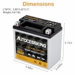 Autocessking YTX14-BS 12V 12Ah Motorcycle Battery, Rechargeable Sealed AGM Battery Maintenance Free Powersport Replacement Battery for ATV and Scooter