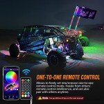 RGB LED Whip Lights with Remote Control - 3FT