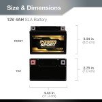 YTX4L-BS PowerSport Battery for TaoTao ATV