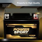 YTX4L-BS PowerSport Battery for TaoTao ATV
