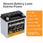 Autocessking YTX14-BS 12V 12Ah Motorcycle Battery, Rechargeable Sealed AGM Battery Maintenance Free Powersport Replacement Battery for ATV and Scooter
