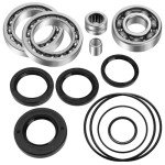 Honda FourTrax Differential Bearings and Seals Kit