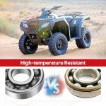 Honda FourTrax Differential Bearings and Seals Kit