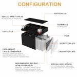 Autocessking YTX14-BS 12V 12Ah Motorcycle Battery, Rechargeable Sealed AGM Battery Maintenance Free Powersport Replacement Battery for ATV and Scooter