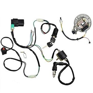 LAXEEM Dirt Bike Wire Harness and Ignition Kit