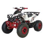 X-PRO Storm 125cc Automatic ATV Quad