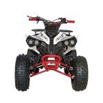 X-PRO Storm 125cc Automatic ATV Quad