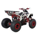 X-PRO Storm 125cc Automatic ATV Quad