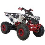 X-PRO Storm 125cc Automatic ATV Quad