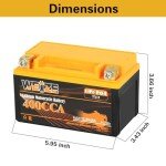 Weize 12V Lithium Battery for ATV, UTV, Motorcycle