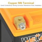 Weize 12V Lithium Battery for ATV, UTV, Motorcycle