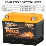 Weize 12V Lithium Battery for ATV, UTV, Motorcycle