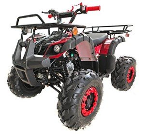 125cc ATV with Reverse, LED Lights & Wide Tires