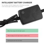 Smart 3 Stage 12V Battery Charger for ATVs