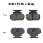 Rear Hydraulic Disc Brake System for ATVs