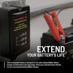 Polaris 12V 30Ah AGM Battery for ATVs
