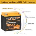 Weize Lithium YTX14-BS, Group 14, 500A LiFePO4 Motorcycle Battery, 12V 5AH ATV, UTV, Jet Ski, 4 Wheeler, Snowmobile, Personal Watercraft, Seadoo, Polaris, Generator and Riding Lawn Mower Battery