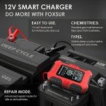 Smart 10-Amp Trickle Charger for 12V/24V Batteries