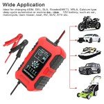 Smart 10-Amp Trickle Charger for 12V/24V Batteries