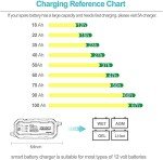 Smart 12V Battery Charger and Maintainer