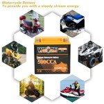 Weize Lithium YTX14-BS, Group 14, 500A LiFePO4 Motorcycle Battery, 12V 5AH ATV, UTV, Jet Ski, 4 Wheeler, Snowmobile, Personal Watercraft, Seadoo, Polaris, Generator and Riding Lawn Mower Battery