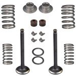 Amavoler Cylinder Valve Rebuild Set for ATVs