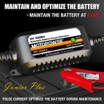 MOTOPOWER 12V 800mA Battery Charger & Maintainer