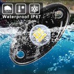 LED Rock Lights Kit for Trucks and ATVs