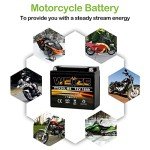 Weize YTX20L-BS High Performance Power Sports- Maintenance Free - Sealed AGM Battery ETX20L BS For Motorcycle ATV UTV snowmobile