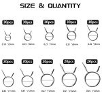 250 PCS Fuel Line Hose Spring Clip Set