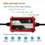 2-Pack FOVAL 12V Automatic Trickle Charger