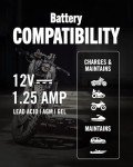 Battery Tender Plus Automotive & ATV Charger 12V