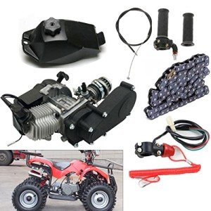 49CC 2-Stroke Engine Kit for ATV and Mini Bikes