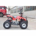 49cc Mini 2-Stroke Pull Start Engine Kit