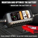 MOTOPOWER 12V 800mA Automatic Battery Charger