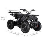 50CC Gas ATV Quad for Kids - 31 MPH
