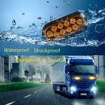 Waterproof 6in Oval LED Turn Signal Lights