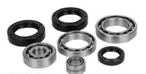Kawasaki KLF220 Bayou 220 Differential Bearing Kit
