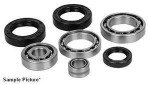 Kawasaki KLF220 Bayou 220 Differential Bearing Kit