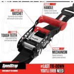 Heavy Duty 3 Point Tire Tie-Down Straps