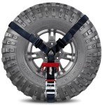 Heavy Duty 3 Point Tire Tie-Down Straps