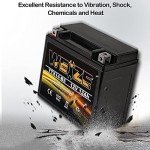 Weize YTX14 BS ATV Battery High Performance - Maintenance Free - Sealed AGM YTX14-BS Motorcycle Battery compatible with Honda Suzuki Kawasaki Yamaha scooter snowmobile