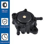 BESULEN Fuel Pump with Filter for Small Engines