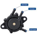 BESULEN Fuel Pump with Filter for Small Engines